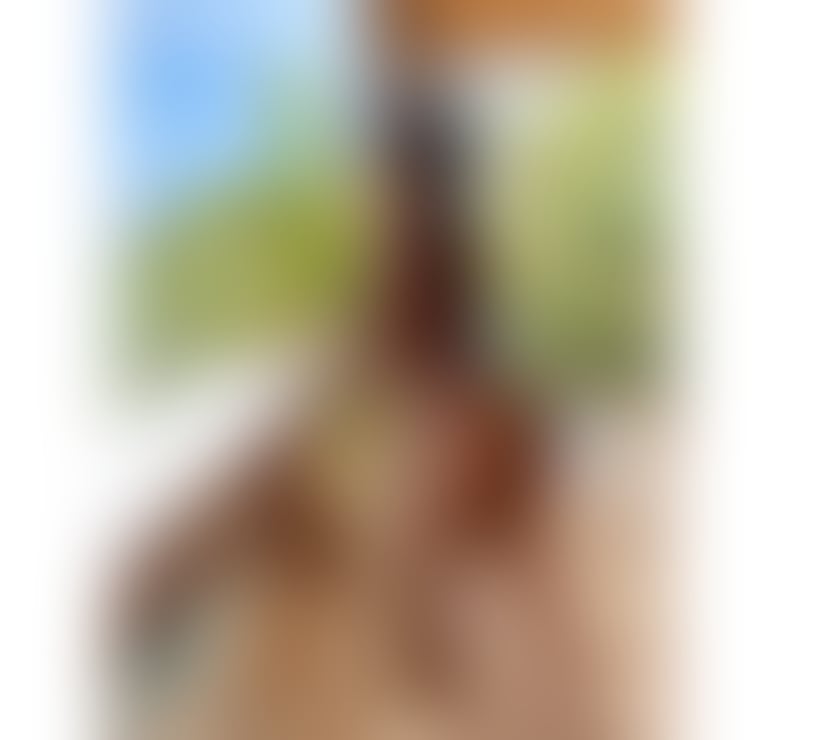 Escorts West Yorkshire Bradford - Photos for Colombiana sexy 🫦