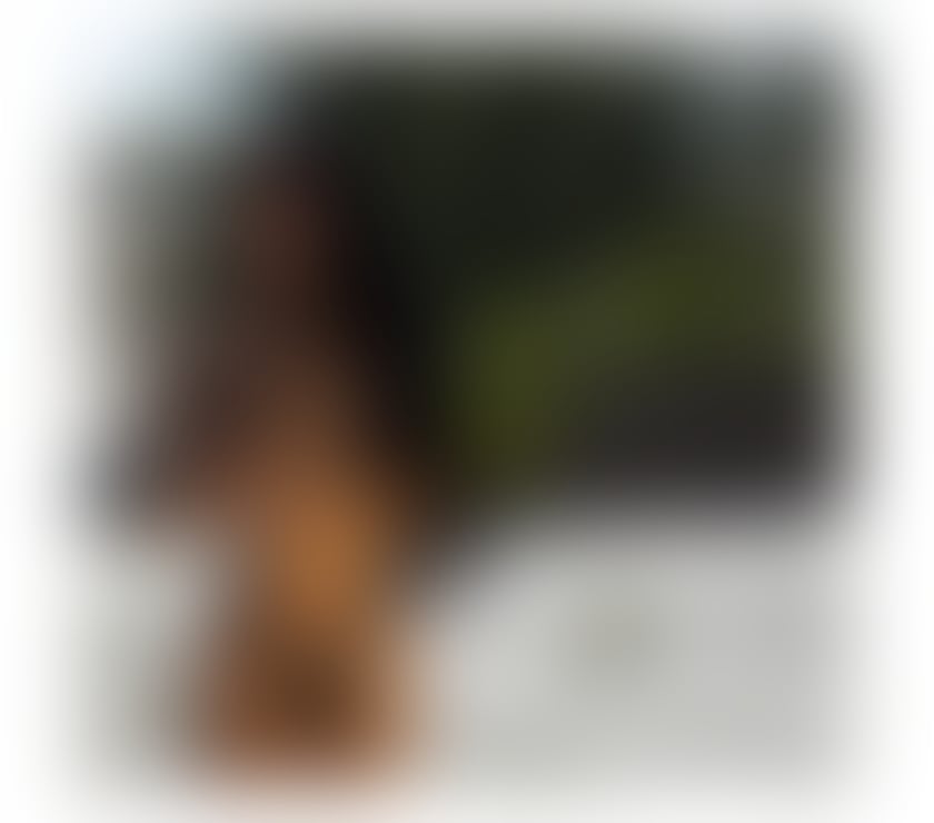 Escorts Greater Manchester Manchester - Photos for Carol a real girl Brazilian 🇧🇷