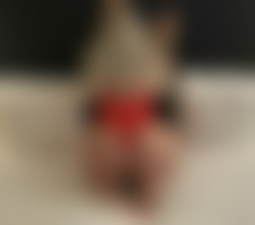 Escorts Yardley Birmingham - Photos for Sexy hot body blonde Latino patrycia party 🔥🥂
