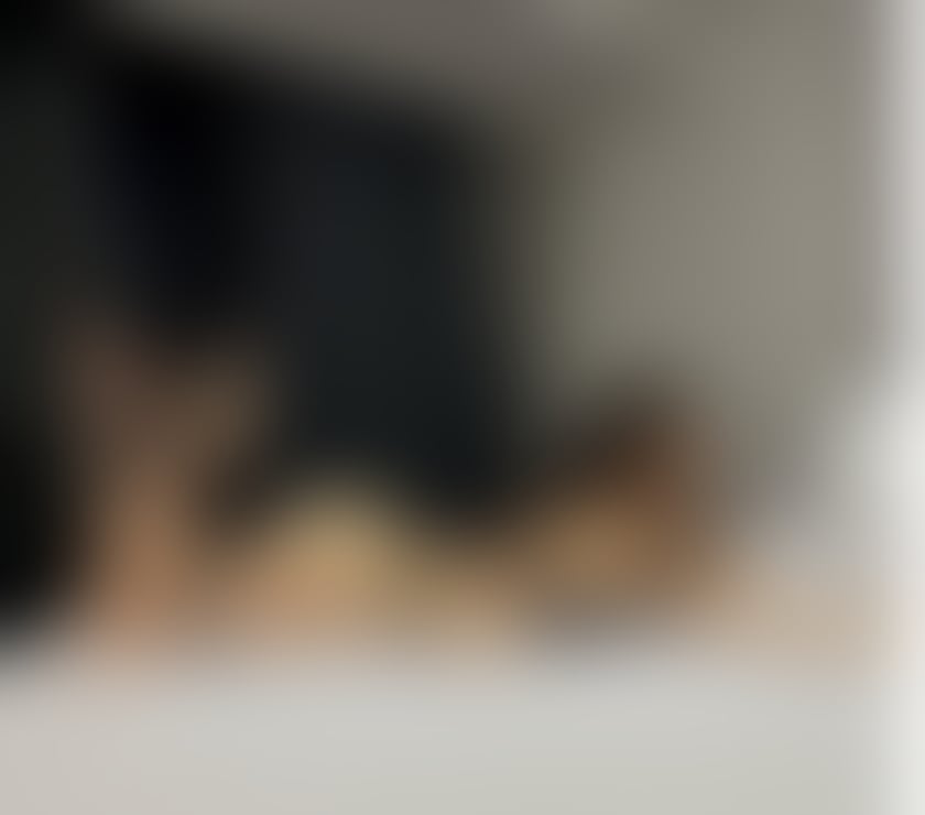 Escorts and Massages Newport City Centre Newport - Wales - Photos for New Girl In town Vanessa!!PARTY