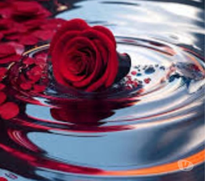 Full body massage East London Redbridge - Photos for Best Massage by Europeans and Indian