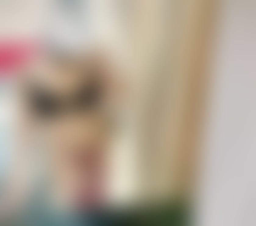 Escorts and Massages Edgbaston Birmingham - Photos for Indonesia Ladies in B5