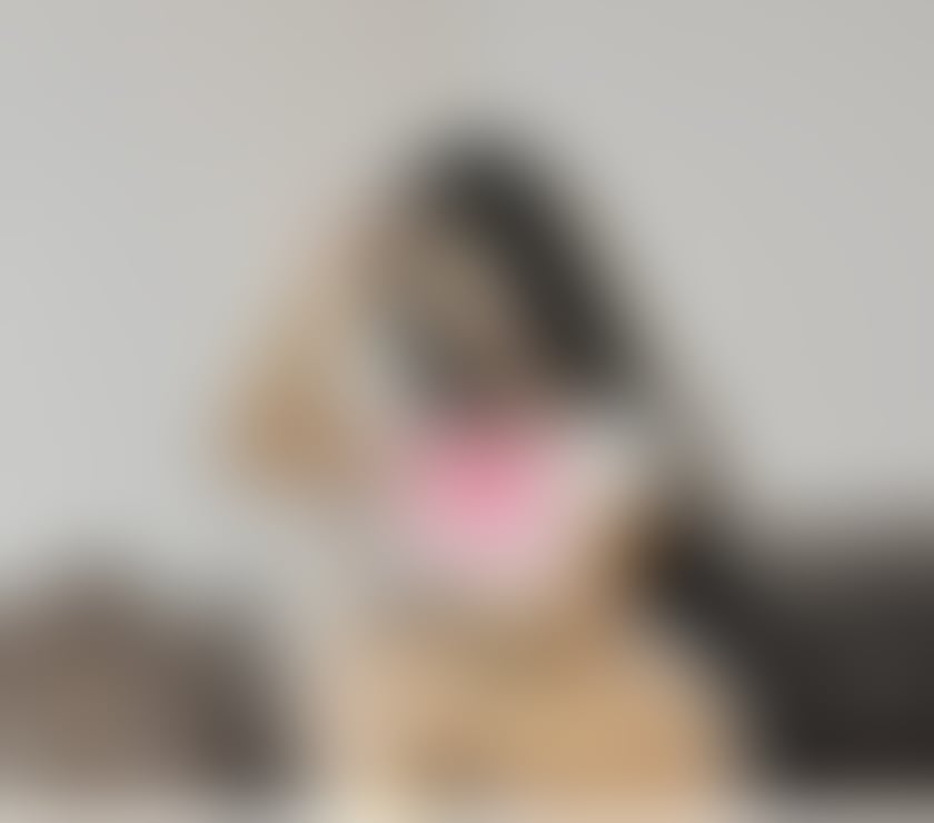 Escorts and Massages Ibrox Glasgow - Photos for Masaje Senzual Relal📸100% 40£ CALL ME😘😘