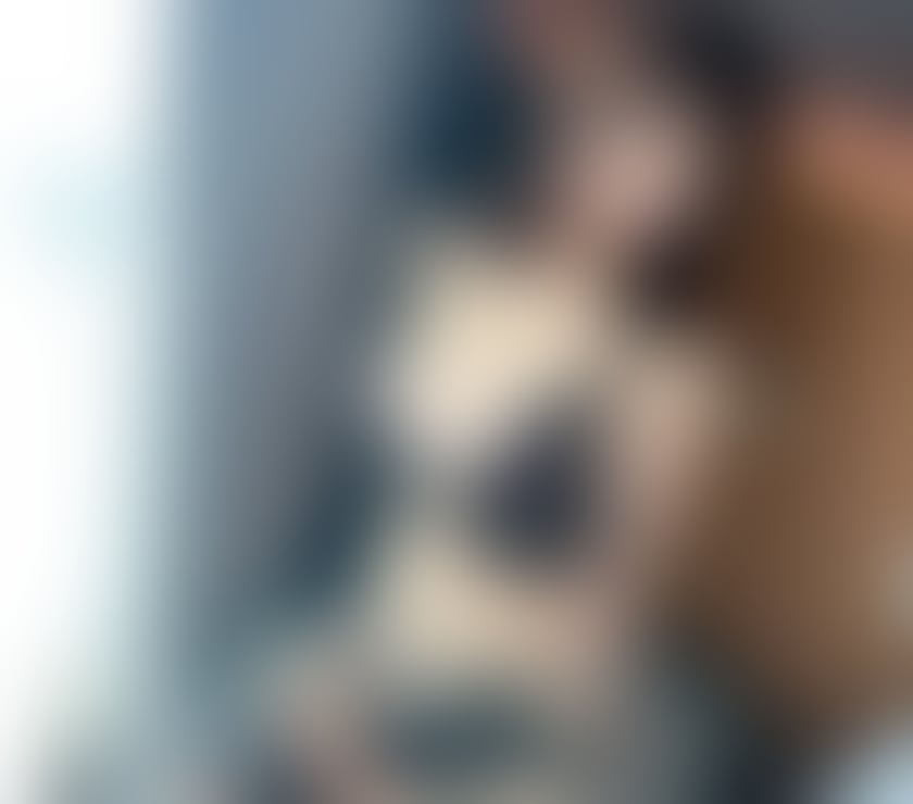 Photos for 💕New💕Asian Escort Hot Sweet