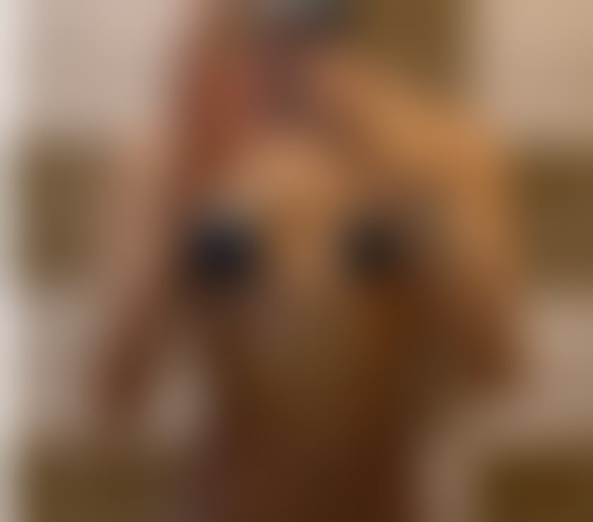 Trans Escorts Greater Manchester Manchester - Photos for 🔥Chloe trans 🔥 Lets go party ✨