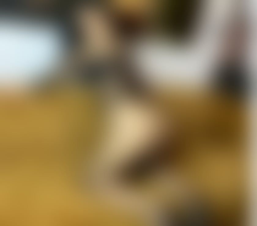 Private Escorts Leeds City Centre Leeds - Photos for Hello, I'm Larisa, a new girl who wants to meet you