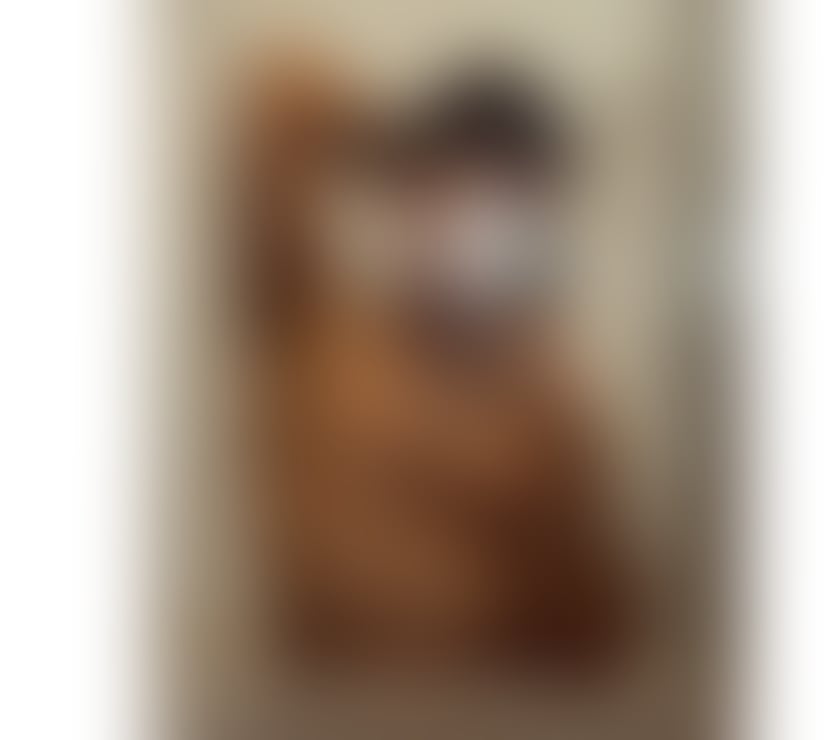 Trans Escorts North West London Neasden - North West London - Photos for Brazilian transboy 🏳️‍⚧️🇧🇷❤️‍🔥