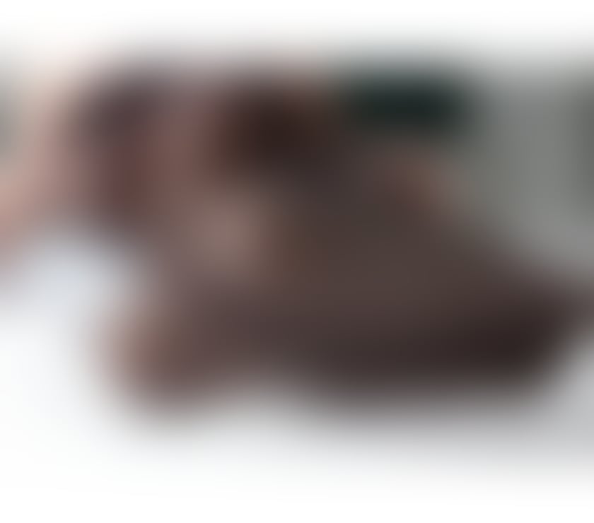  Escorts Ponders End North London - Photos for Vanessa Sexy Girlfriend