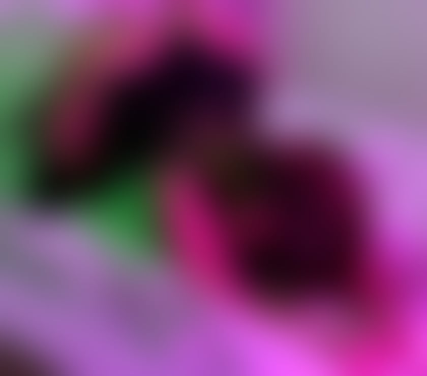 Escorts West Midlands Birmingham - Photos for 🩷 SWEET ALEXA - BEST SERVICE BEST BJ EVER!! 🩷