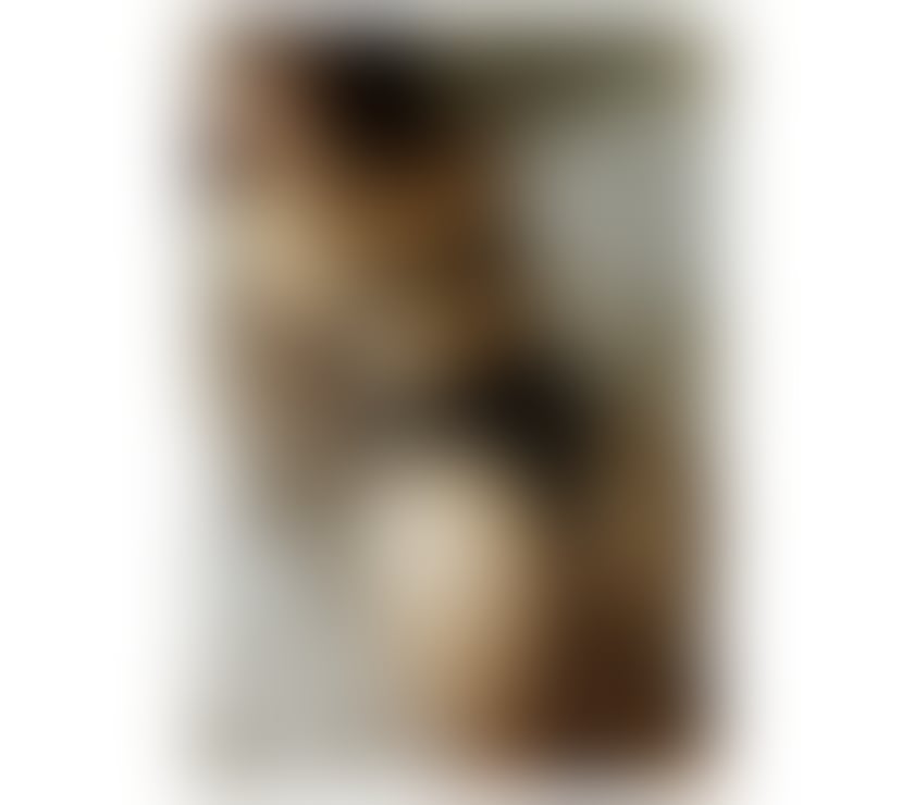 Escorts Leicestershire Leicester - Photos for INDEPENDENT AMY ASIAN THAI THAILAND 07397776556