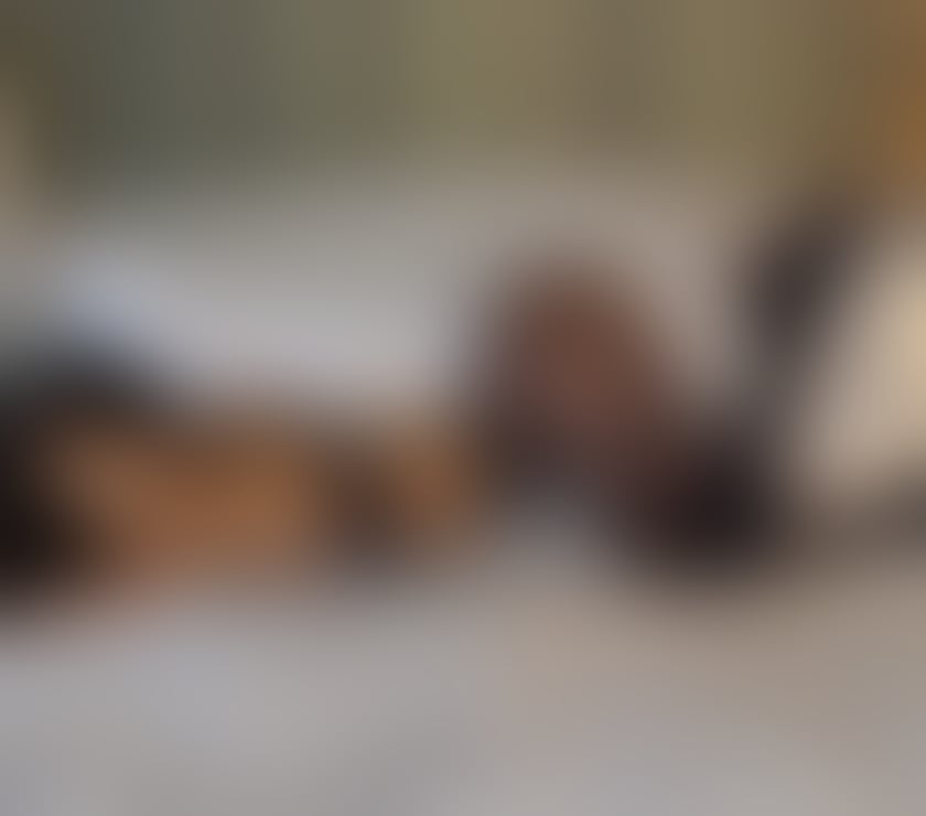 Escorts Edinburgh Edinburgh - Edinburgh - Photos for CÉLINE❤️‍🔥PARTY GIRL🔥 BEST SERVICES🥵💦