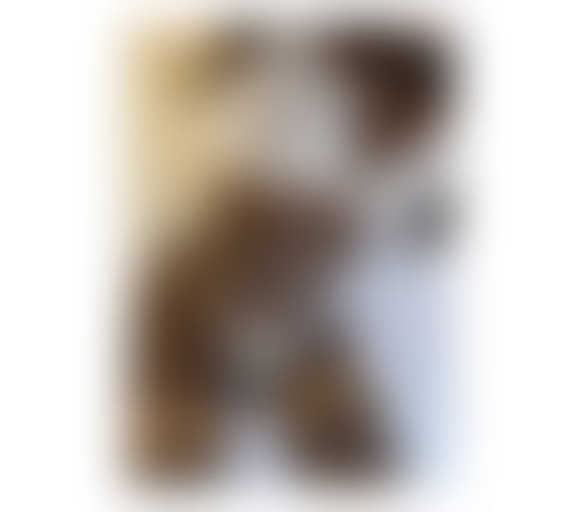 Escorts West Midlands Walsall - Photos for 💕Melany🔥 Unique hot party Best service few days