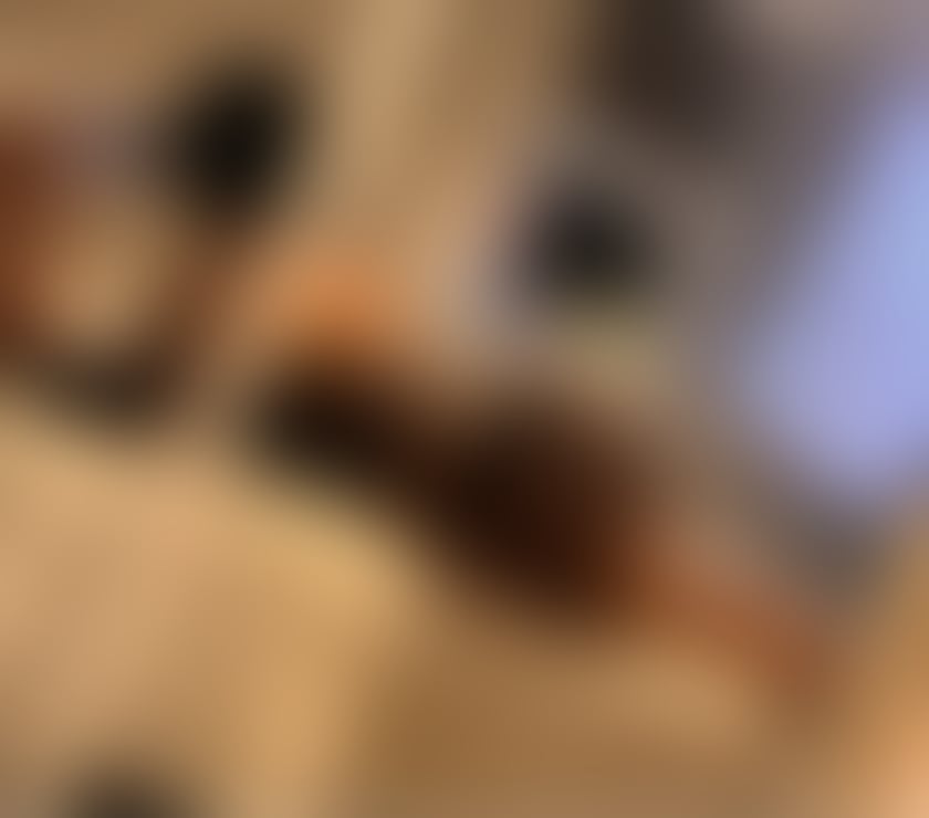 Trans Escorts South Yorkshire Sheffield - Photos for Morena trans fitness 🇧🇷