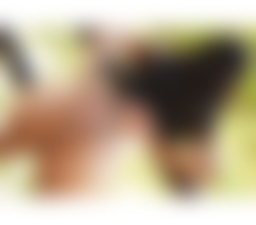 Escorts West Yorkshire Wakefield - Photos for Nice curvy brazilian lady hot body