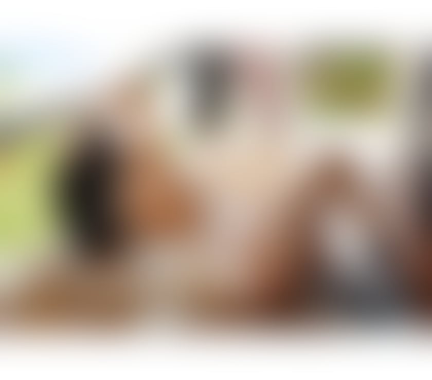 Escorts West Yorkshire Wakefield - Photos for Nice curvy brazilian lady hot body