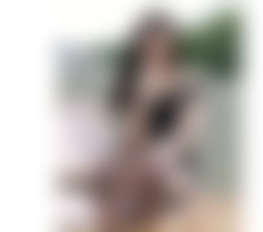 Escorts Media City UK Salford - Photos for 07425 389321 💋GFE💐 Chinese escort💕IN M50