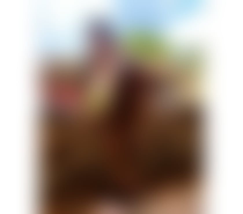 Escorts Hampshire Basingstoke and Deane - Photos for 🇧🇷 DUDA HOT BRAZILIAN PARTY GIRL 🔥