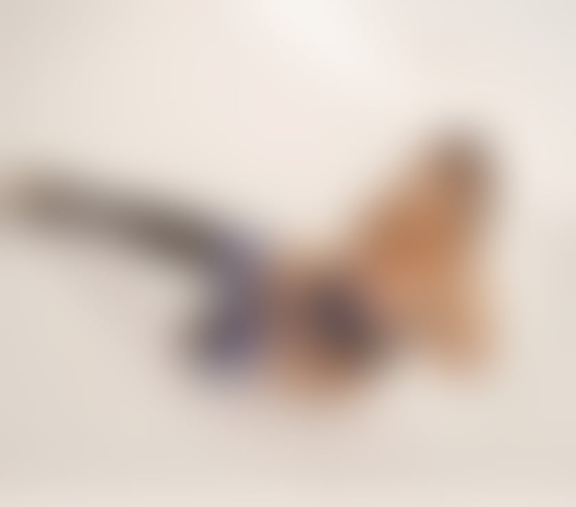 Trans Escorts Edinburgh Edinburgh - Edinburgh - Photos for 🇧🇷🇧🇷ANGEL🇧🇷🇧🇷