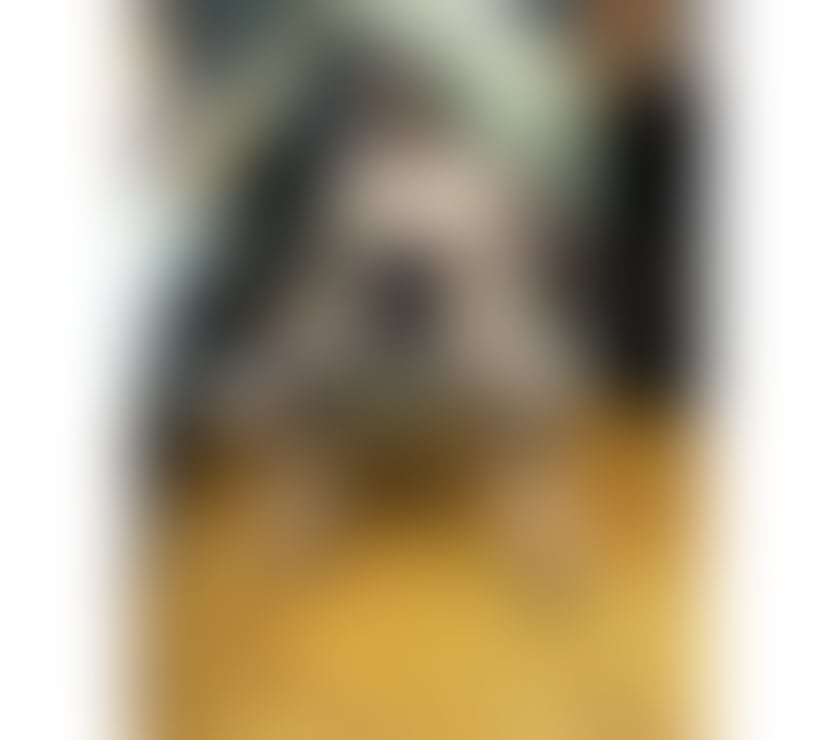 Escorts South West London Tooting Broadway - South West London - Photos for 💯👅✅New In Town Carla Party💯✅👅