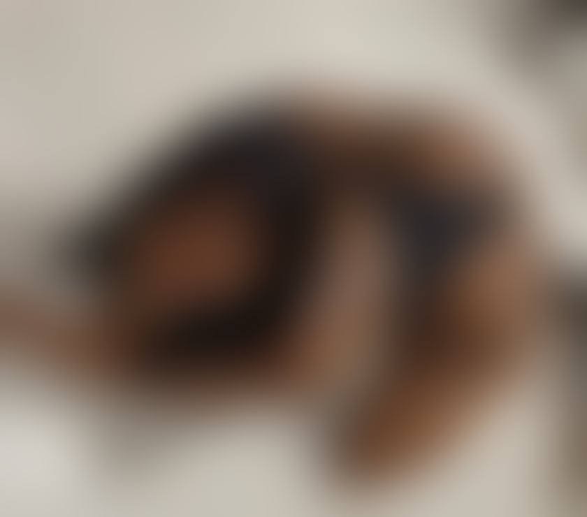Trans Escorts North London Bruce Grove Station - North London - Photos for Goldie⚜️best BJ🌬️🔥🇨🇴🏳️‍⚧️