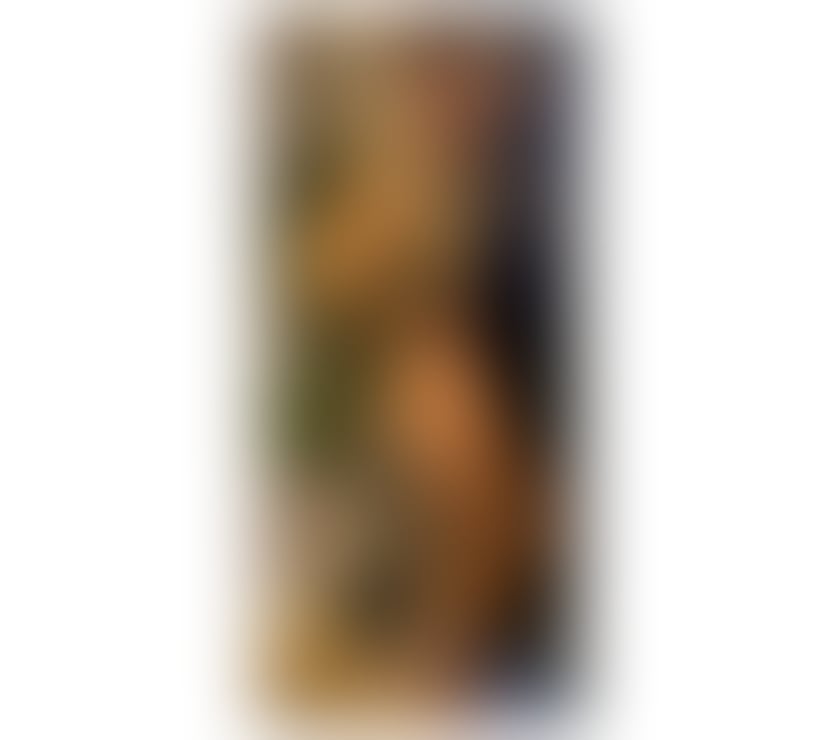 Escorts West Midlands Walsall - Photos for WANESSA TS HOT 🔥 SHEMALE FULL SERVICE