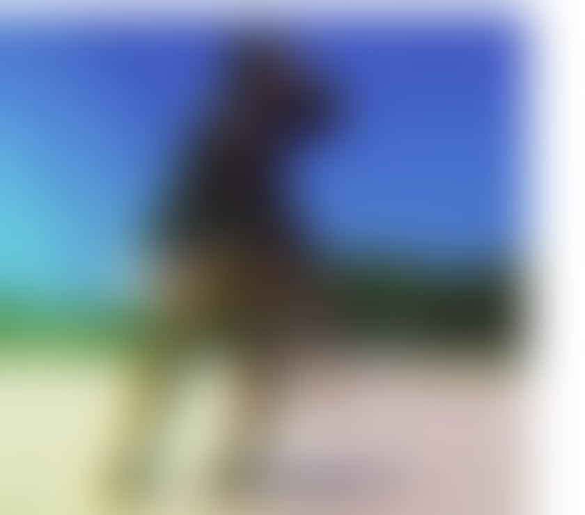 Escorts Tyne and Wear Newcastle upon Tyne - Photos for DIANNA ❤️ BIG ASS 😜SWEET AFRICANN🎉