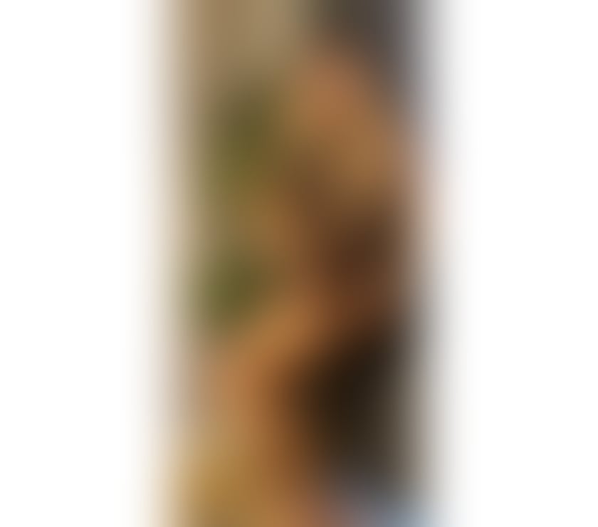 Trans Escorts West Midlands Walsall - Photos for WANESSA HOT 💥 NEW IN TOWN