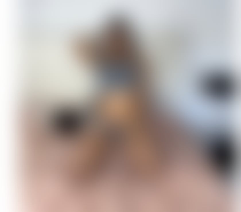Escorts South East London Bermondsey - South East London - Photos for LETS HAVE FUN BIG OFFERS FOR YOU 📞😏🍾🔞🤙