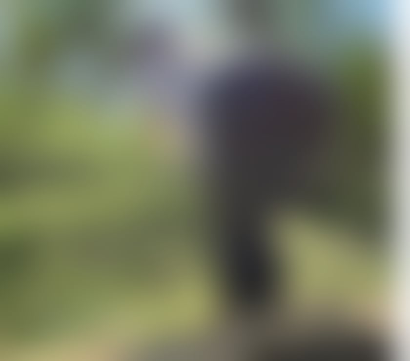Escorts Essex Brentwood - Photos for Busty Mandy few days Brentwood 😍😍