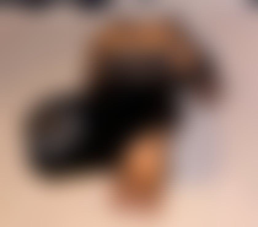 Escorts Nottinghamshire Nottingham - Photos for 100% real Brazilian party girl and fun girl 🇧🇷🥳