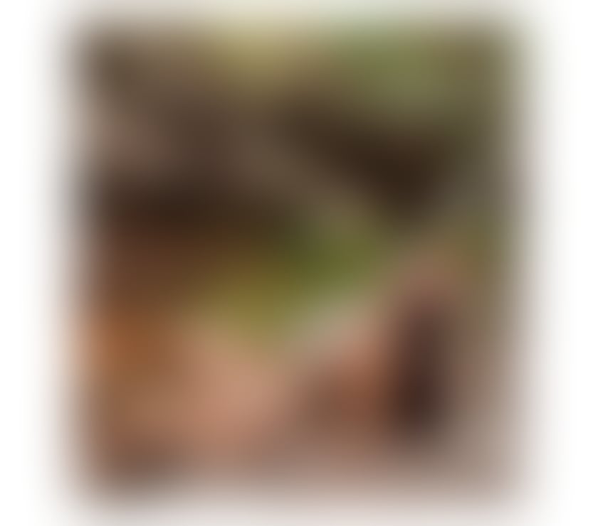  Escorts Luton Town Centre Luton - Photos for 🇧🇷Bella new girl 🇧🇷