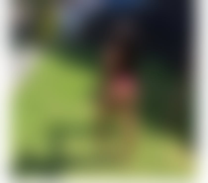 Escorts Aylesbury Buckinghamshire - Photos for Brazilian brunette