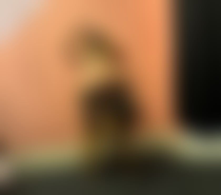 Escorts Essex Basildon - Photos for Ariana party girl 100% real photos 🥰🥰🥰