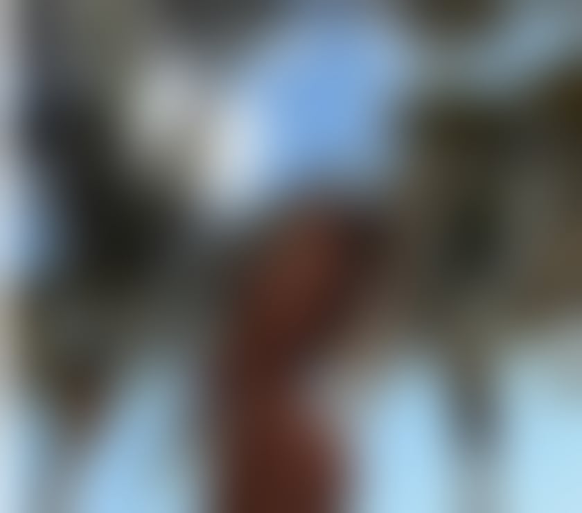 Escorts Cardiff Cardiff City Centre - Cardiff - Photos for 💦Evelyn 100% real , Brazilian Hot 🔥 😈🫦