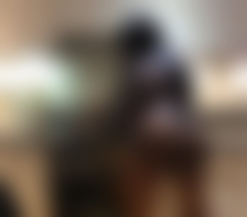 Escorts West Midlands Birmingham - Photos for 🔥🔥Ebony Lisa Massage New In Acocks Green🔥🔥