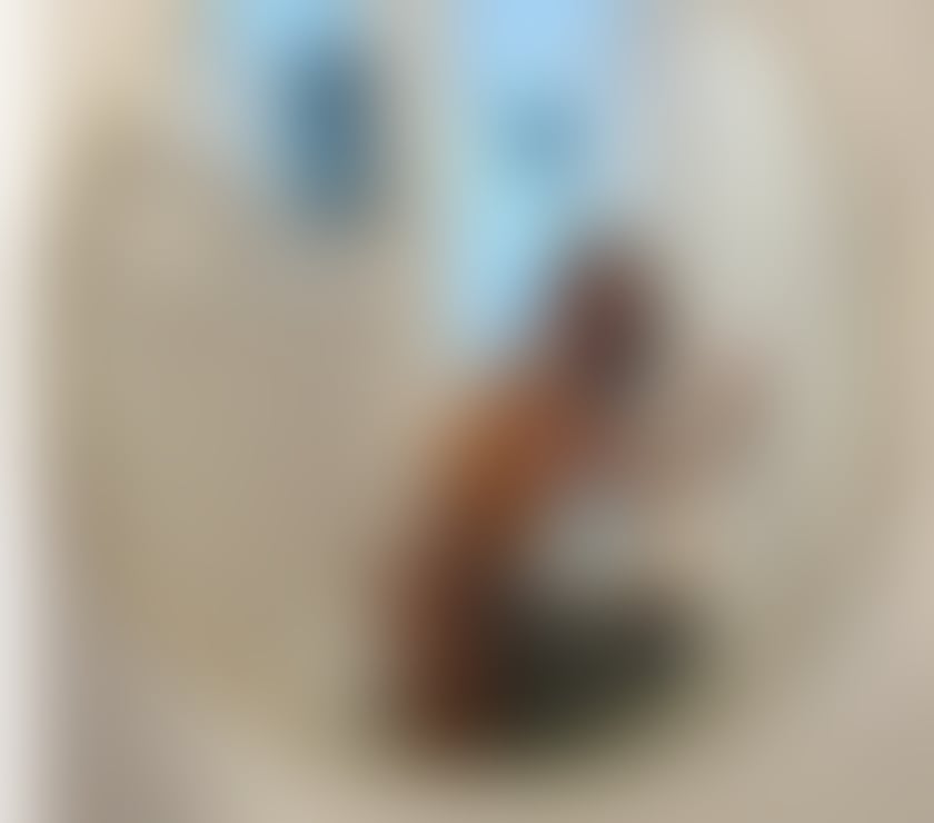 Escorts Gloucestershire Cheltenham - Photos for tiffany ts cute girl