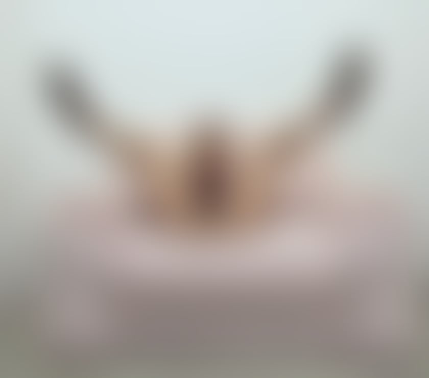 Escorts Norfolk King's Lynn and West Norfolk - Photos for 🌸Lucy Naughty & Playful BEST OWO