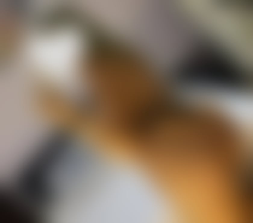 Escorts West Midlands Birmingham - Photos for Sexy hot body blonde Latino patrycia party 🔥🥂