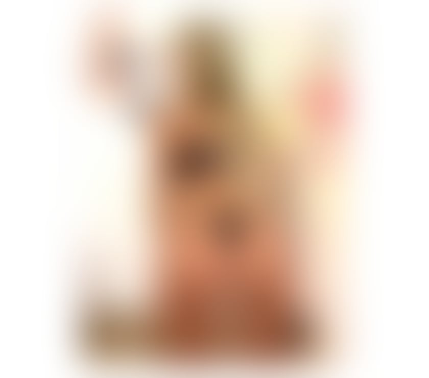 Escorts Newport - Wales Newport City Centre - Newport - Photos for 🇧🇷Legitimate Brazilian Yasmin 🍑video confirmation