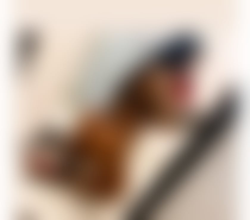 Escorts Derbyshire Chesterfield - Photos for Hello i am Adelle just come in yours town❌party❤☎️