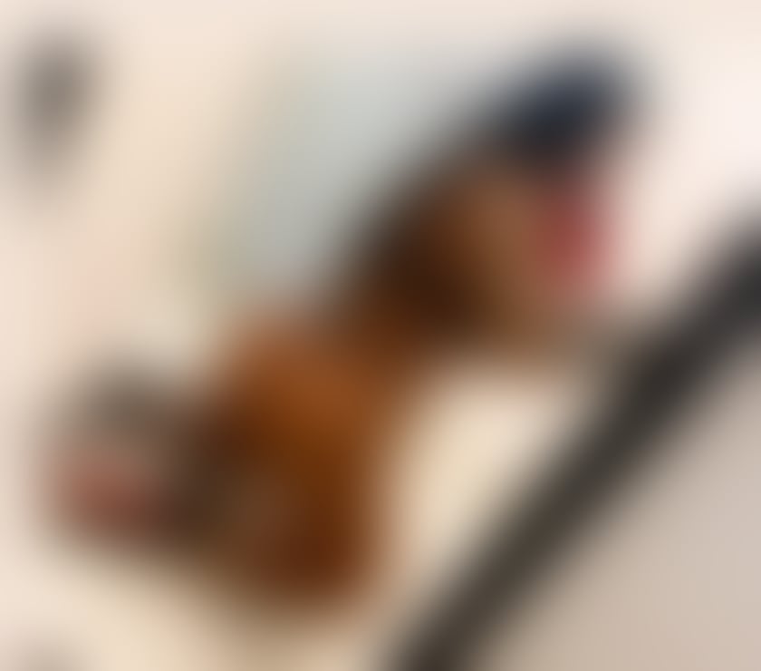 Escorts Worsbrough Common Barnsley - Photos for Hello i am Adelle just come in yours town❌party❤☎️