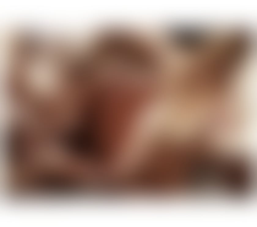 Escorts Perth and Kinross Perth - Perth and Kinross - Photos for MICHEL OWO GFE 🍯 PARTY GIRL❤️✨ 07909891853 ❤️