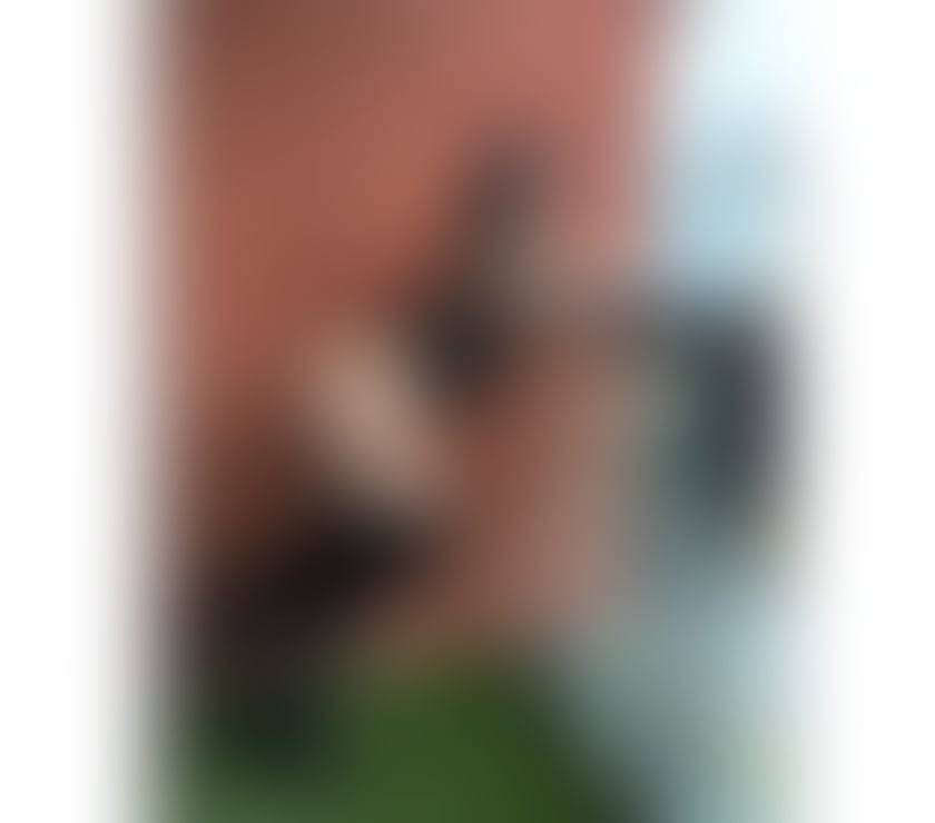 Trans Escorts Lancashire Preston - Photos for MAYA MARIAH ANACONDA