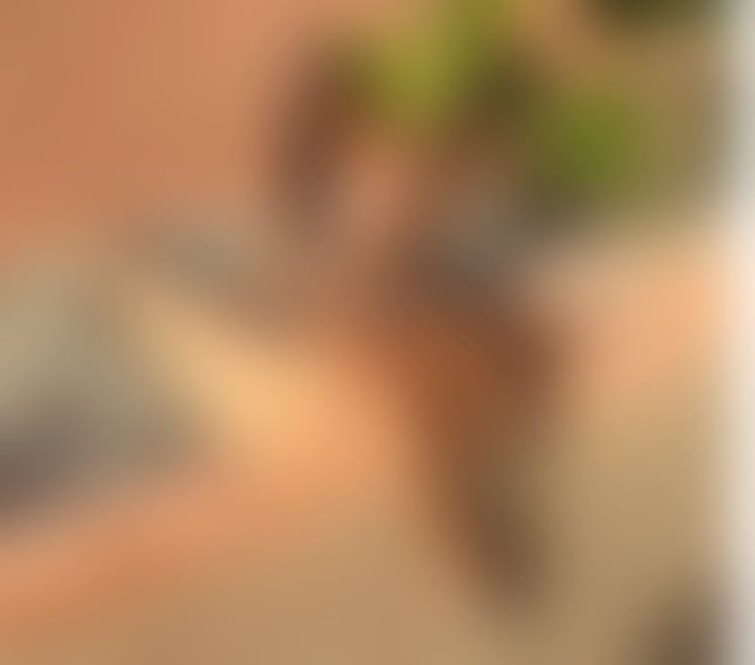 Escorts West London Bayswater - West London - Photos for Désirée - new in town