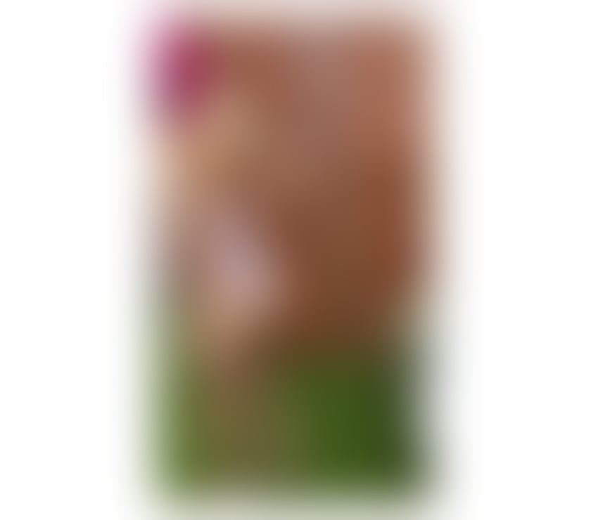 Escorts Nottinghamshire Nottingham - Photos for Annamarie new in Nottingham