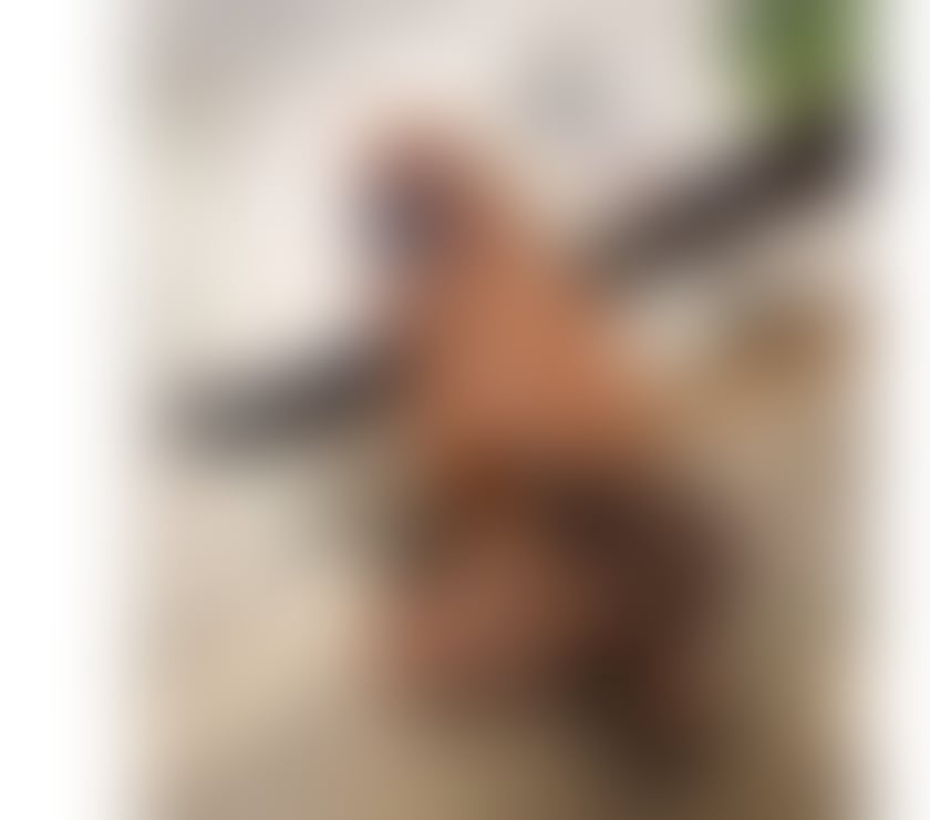 Escorts East Molesey Elmbridge - Photos for Amber 🫦magic your hands