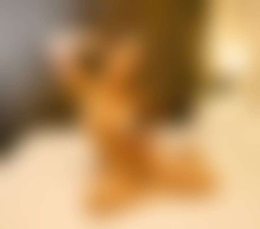 Escorts Buckinghamshire Milton Keynes - Photos for Relaxing and Revitalising Massage by English Sadie!