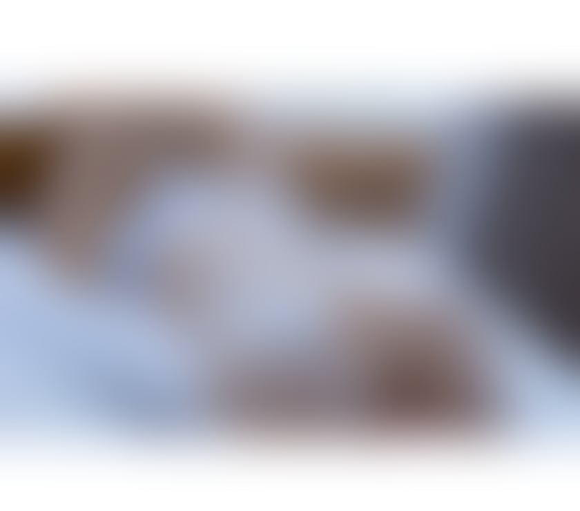 Escorts Tyne and Wear North Tyneside - Photos for New🔥Thai Anna massage best service 💯 💋