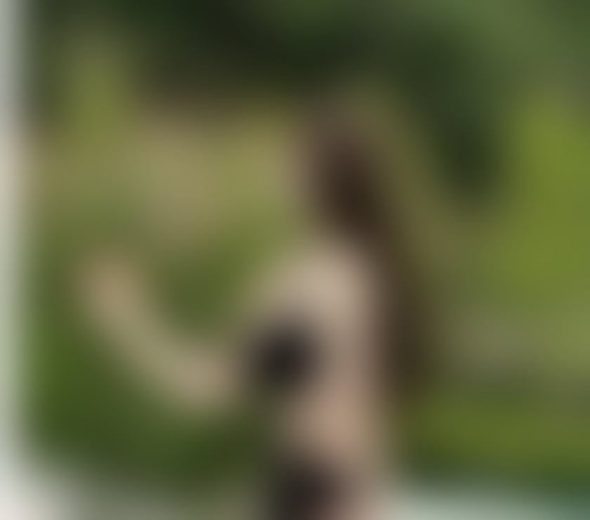 ⭕️NEW🔅vip service♈️ No Rush