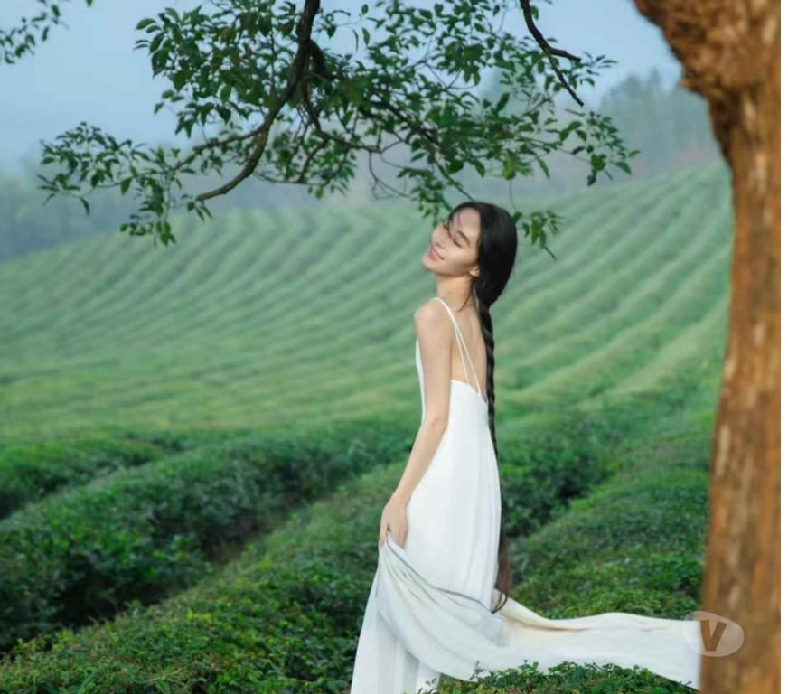 Escorts Glasgow Springboig - Glasgow - Photos for 🌹 Chinese girl massage in Tollcross,